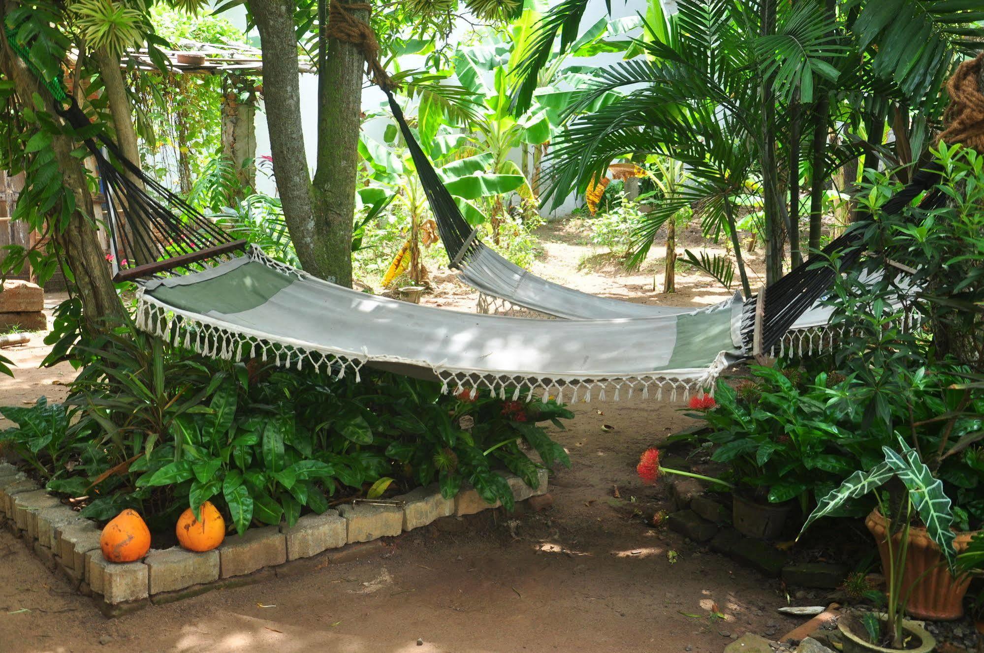Blue Seas Guest House Dehiwala-Mount Lavinia Luaran gambar